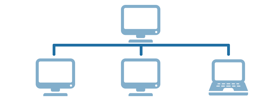 Laptop used for veterinary visit round can be connected on clinic LAN