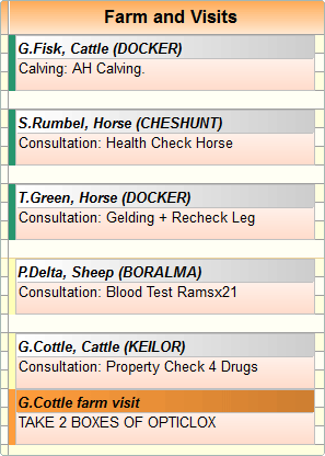 Veterinary visit round route planning